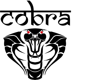 Cricket team logo 4