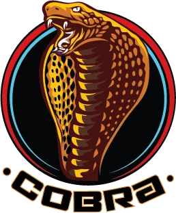Cricket team logo 5
