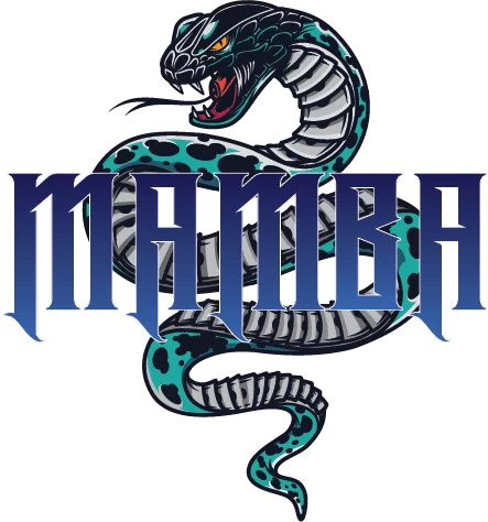Cricket team logo 7